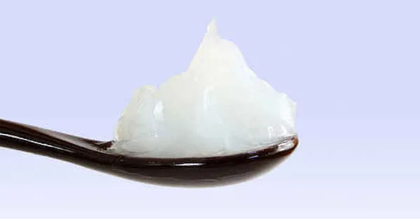 بهترین وازلین روغن نارگیل + قیمت خرید عالی
